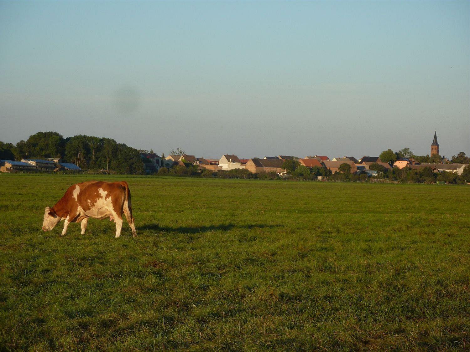 Ferienwohnung Zallnerhof Am Elberadweg In Steutz Dış mekan fotoğraf